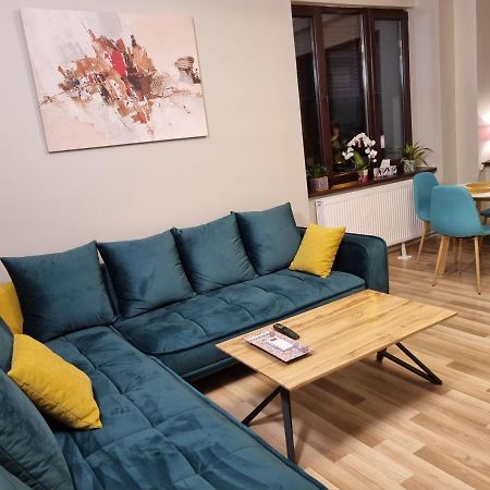 City Inn Premium Apartment Timișoara Zewnętrze zdjęcie