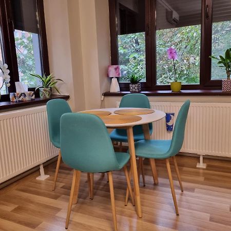 City Inn Premium Apartment Timișoara Zewnętrze zdjęcie