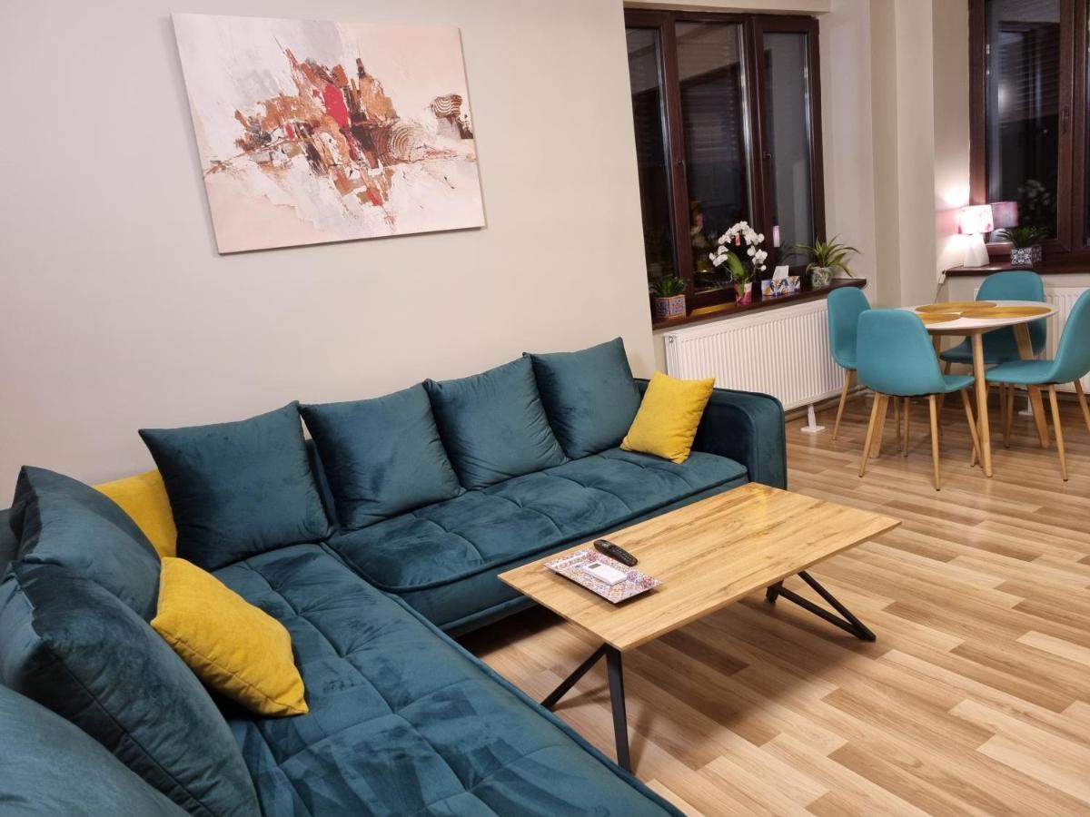 City Inn Premium Apartment Timișoara Zewnętrze zdjęcie