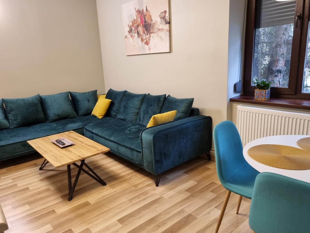 City Inn Premium Apartment Timișoara Zewnętrze zdjęcie