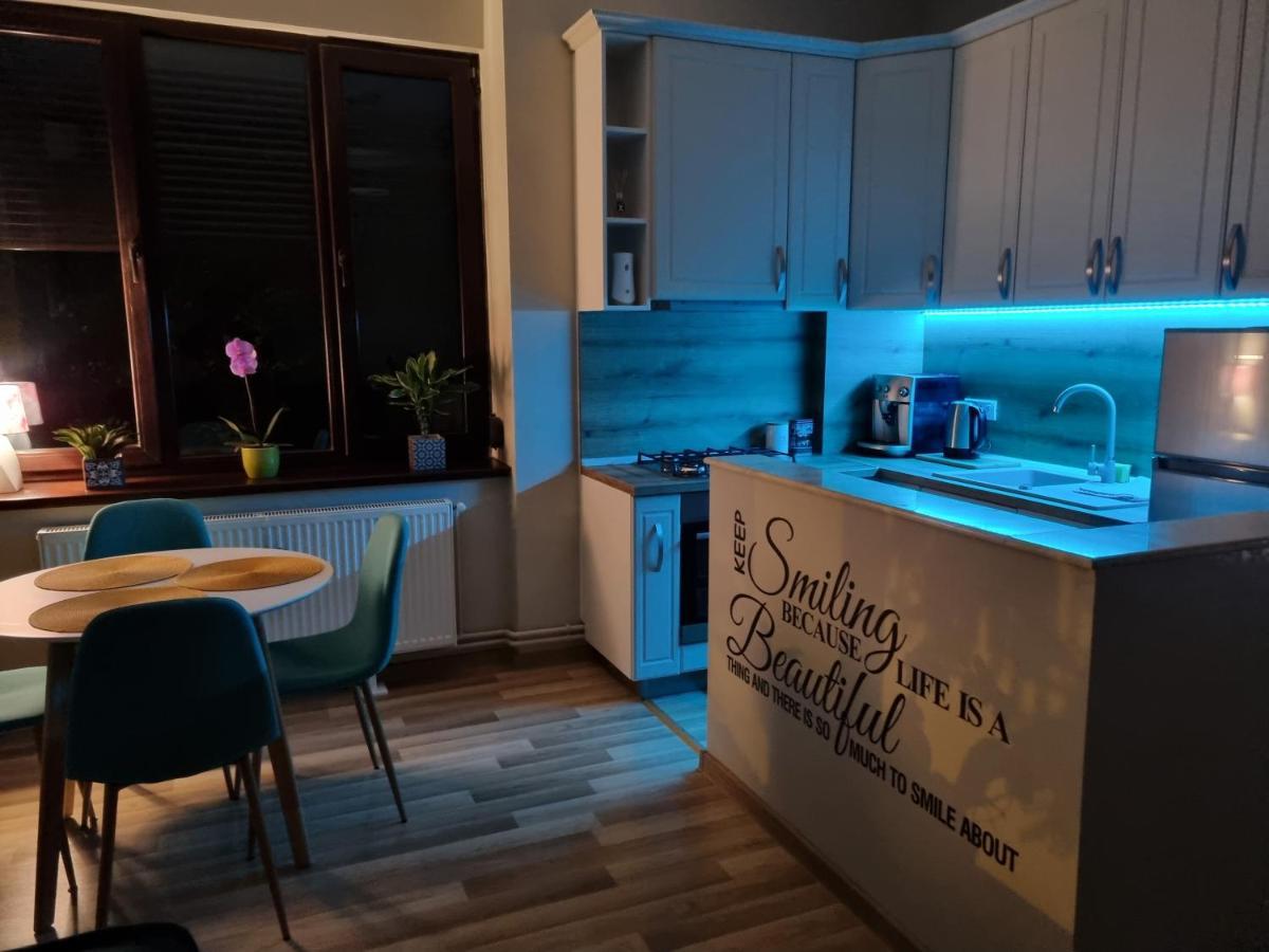City Inn Premium Apartment Timișoara Zewnętrze zdjęcie